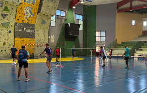 Bienvenue sur le site du Badminton Club de Saint-André (BCSA - 974)